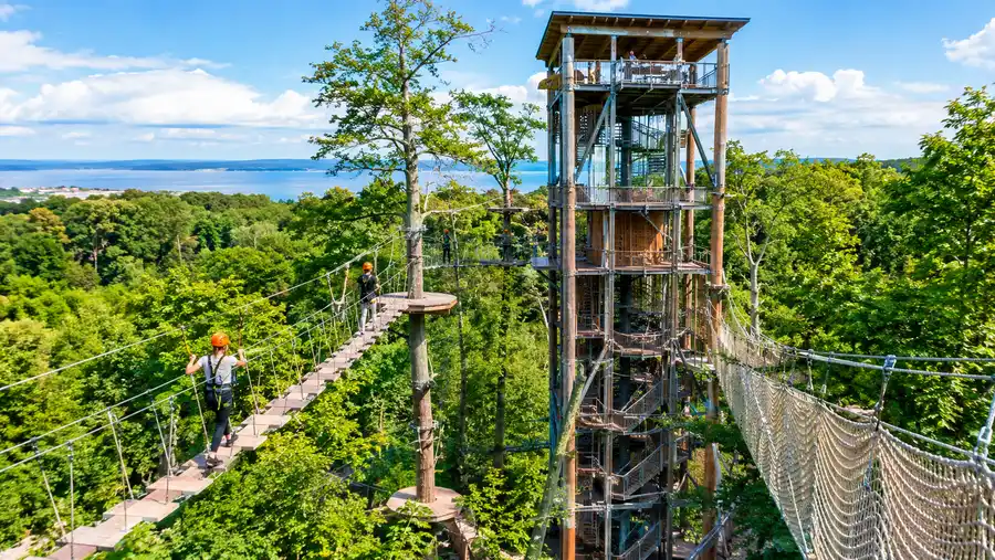 Parco Avventura Camp Adventure: Il Percorso sugli Alberi Più Grande della Danimarca