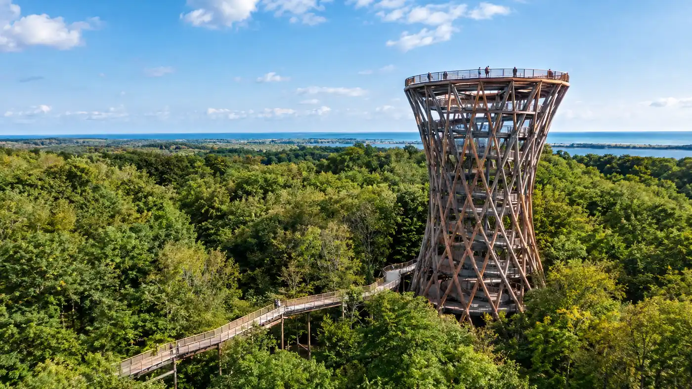 Torre della Foresta: Indirizzo e Come Trovare l'Avventura del Campo
