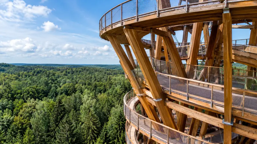 Hvor høj er Skovtårnet? Højde, design og arkitektur