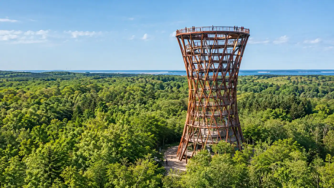 Quanto è alta la Forest Tower? Altezza, design e architettura