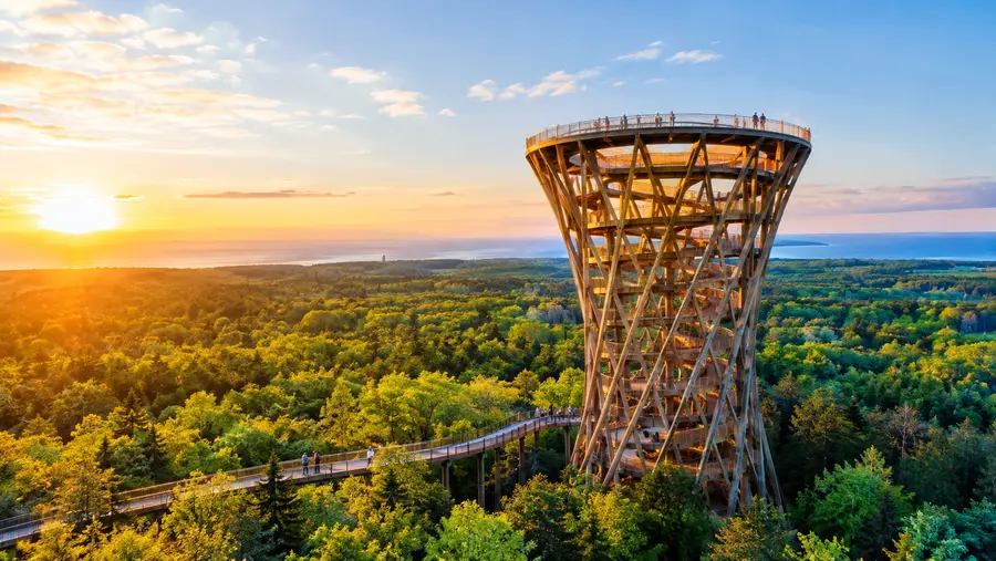 Come visitare la Forest Tower da Copenaghen